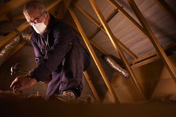 Best Types of Insulation in Leupp, AZ