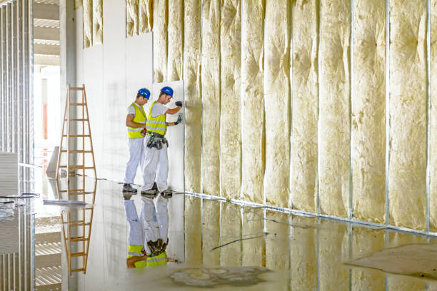 Best Insulation Maintenance and Repair in Leupp, AZ